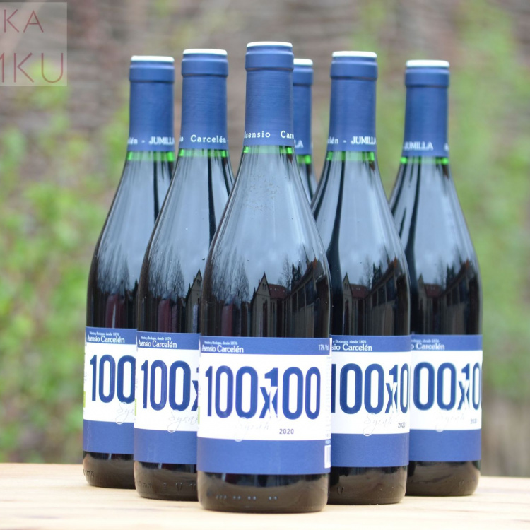 Akce 5+1 zdarma - Syrah z Top 21 Syrahů podle The Drink Business