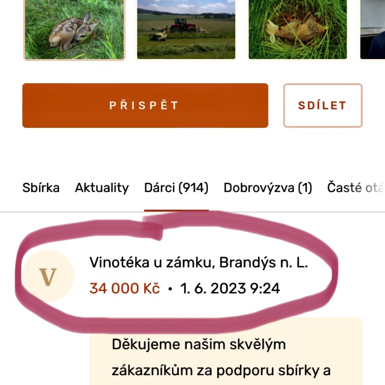 Výtěžek z prodeje vína na podporu stopsecenisrncat.cz
