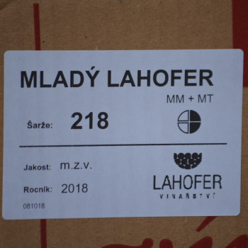 Mladý a Mladá z Lahoferu 