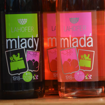 Mladý a Mladá z Lahoferu 