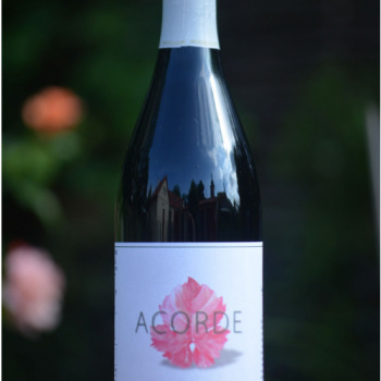 Akce 5+1 zdarma - Syrah z Top 21 Syrahů podle The Drink Business