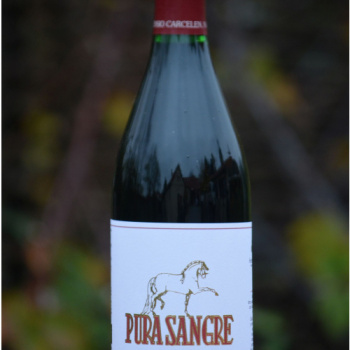 Akce 5+1 zdarma - Syrah z Top 21 Syrahů podle The Drink Business